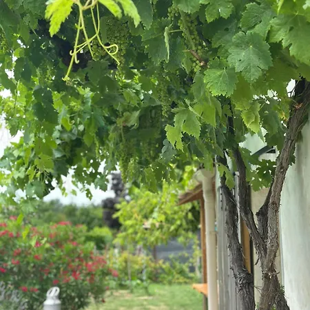 La Maison Du Béchon