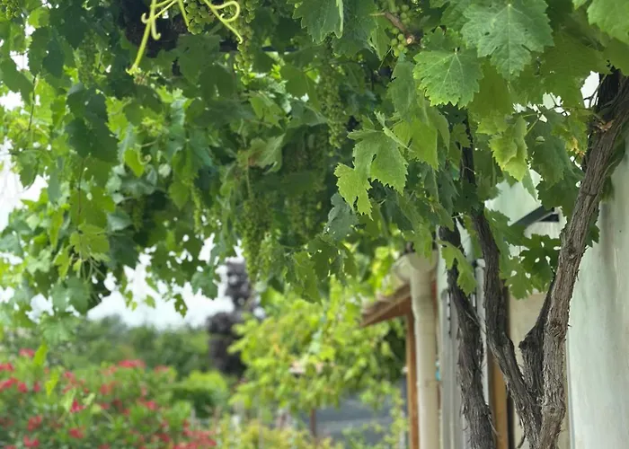 La Maison Du Béchon